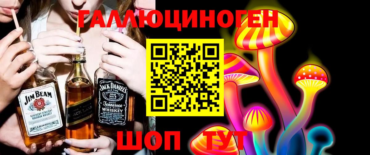 Галлюциногенные грибы Psilocybine cubensis Гусь-Хрустальный