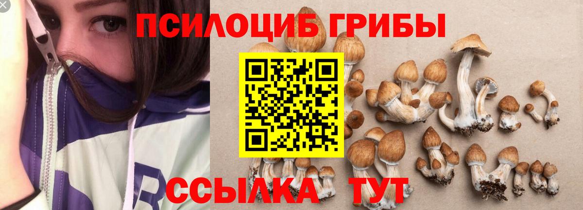 Гусь-Хрустальный  Галлюциногенные грибы Psilocybine cubensis  Галлюциногенные грибы GOLDEN TEACHER  Вход с VPN 